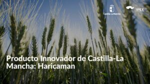 Producto Innovador de Castilla-La Mancha Haricaman