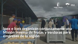 Ipex e Icex organizan conjuntamente una Misión Inversa de frutas y verduras para empresas de la región